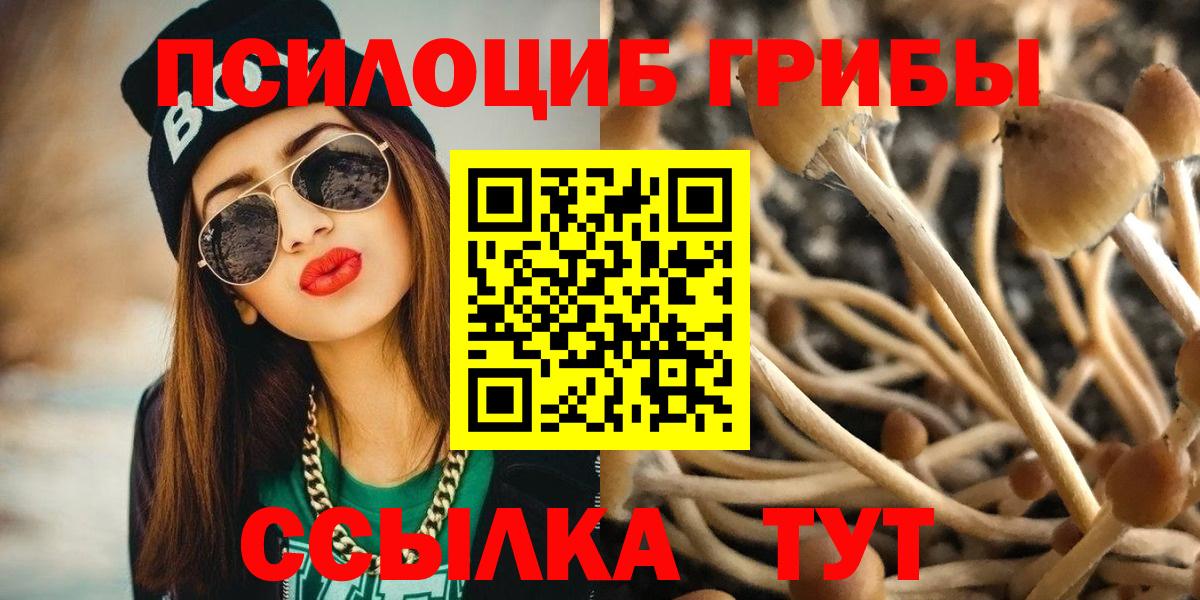 Псилоцибиновые грибы Psilocybine cubensis  Вход с VPN  Тавда  Псилоцибиновые грибы MAGIC MUSHROOMS 