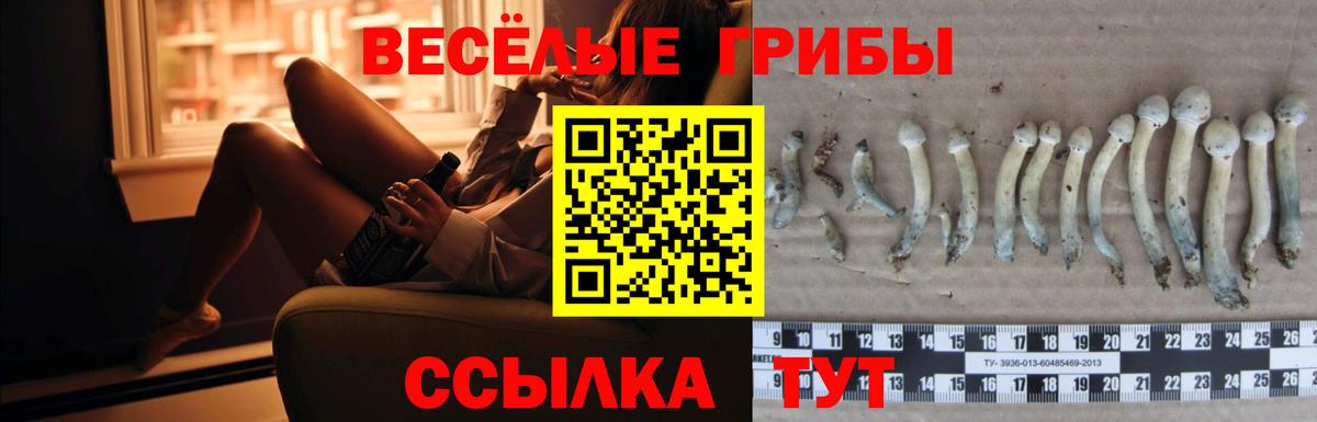 Галлюциногенные грибы GOLDEN TEACHER Тавда